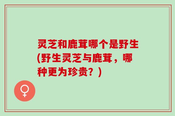 灵芝和鹿茸哪个是野生(野生灵芝与鹿茸，哪种更为珍贵？)