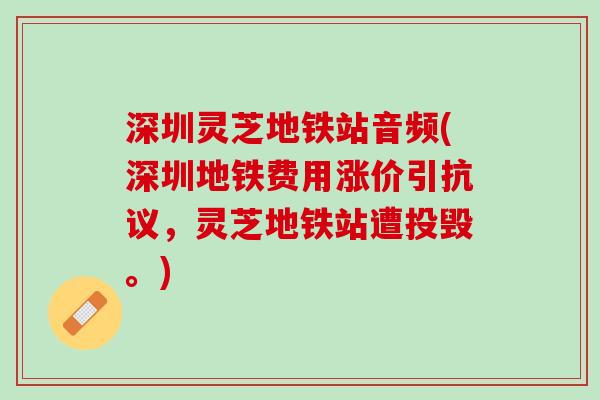 深圳灵芝地铁站音频(深圳地铁费用涨价引抗议，灵芝地铁站遭投毁。)