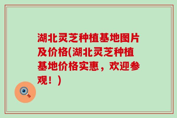 湖北灵芝种植基地图片及价格(湖北灵芝种植基地价格实惠，欢迎参观！)