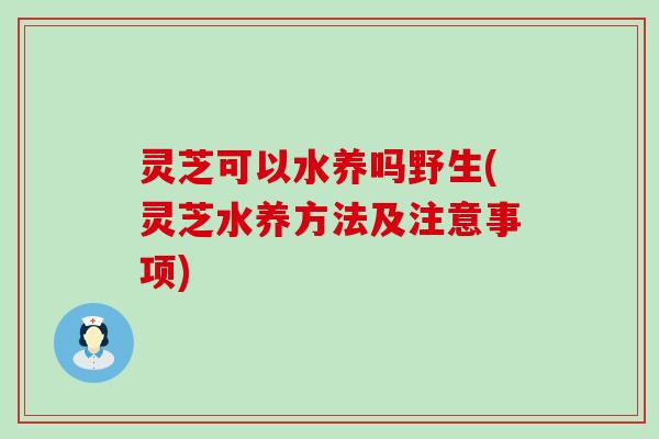 灵芝可以水养吗野生(灵芝水养方法及注意事项)