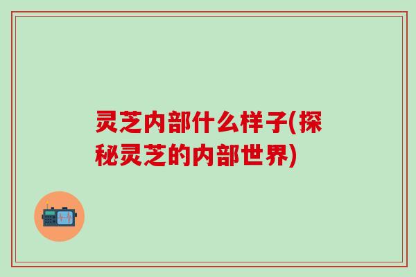 灵芝内部什么样子(探秘灵芝的内部世界)