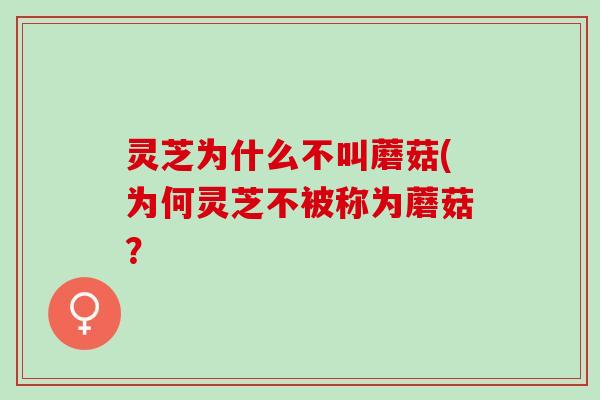灵芝为什么不叫蘑菇(为何灵芝不被称为蘑菇？
