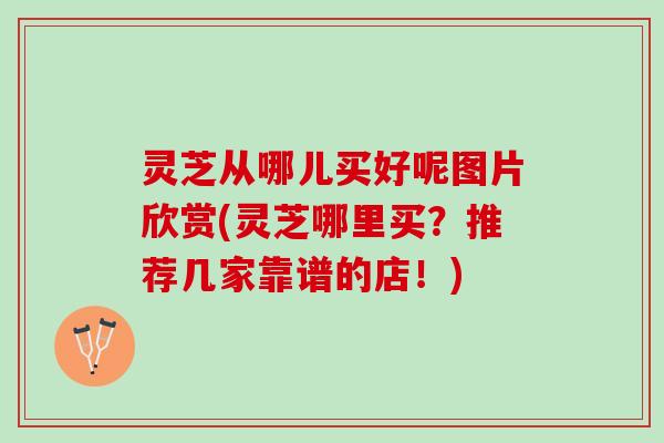 灵芝从哪儿买好呢图片欣赏(灵芝哪里买？推荐几家靠谱的店！)