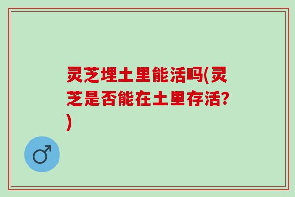 灵芝埋土里能活吗(灵芝是否能在土里存活?) 灵芝埋土里能活吗(灵芝是否能在土里存活?)