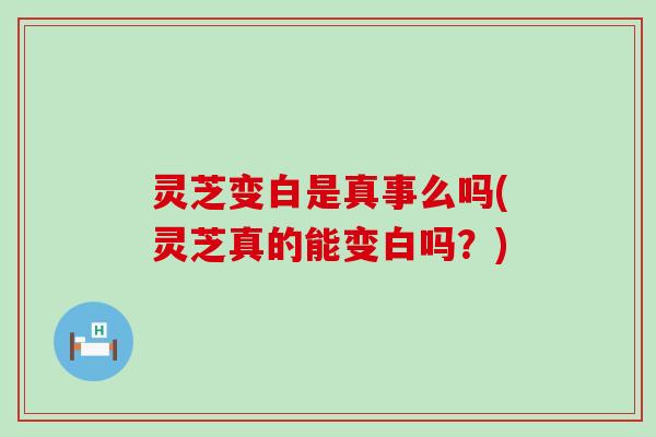 灵芝变白是真事么吗(灵芝真的能变白吗？)