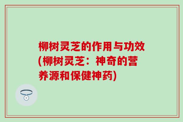 柳树灵芝的作用与功效(柳树灵芝：神奇的营养源和保健神药)