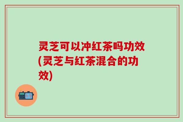 灵芝可以冲红茶吗功效(灵芝与红茶混合的功效)
