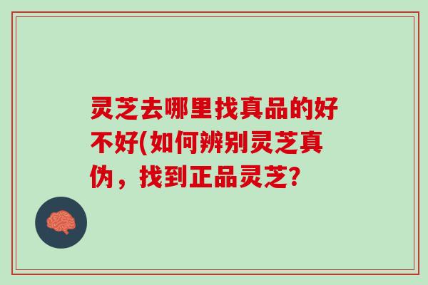 灵芝去哪里找真品的好不好(如何辨别灵芝真伪，找到正品灵芝？