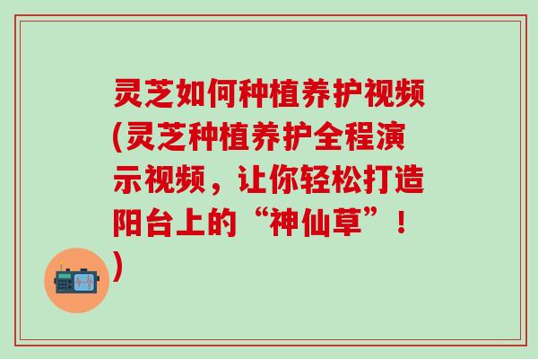 灵芝如何种植养护视频(灵芝种植养护全程演示视频，让你轻松打造阳台上的“神仙草”！)