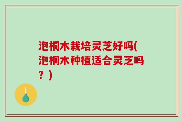 泡桐木栽培灵芝好吗(泡桐木种植适合灵芝吗?) 泡桐木栽培灵芝好吗(泡桐木种植适合灵芝吗?)