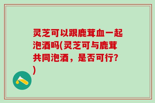 灵芝可以跟鹿茸血一起泡酒吗(灵芝可与鹿茸共同泡酒，是否可行？)
