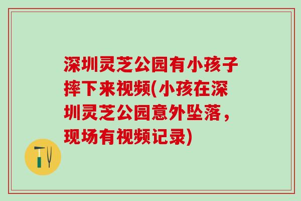 深圳灵芝公园有小孩子摔下来视频(小孩在深圳灵芝公园意外坠落，现场有视频记录)