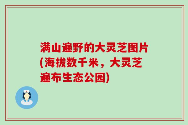 满山遍野的大灵芝图片(海拔数千米，大灵芝遍布生态公园)
