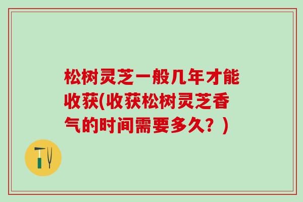 松树灵芝一般几年才能收获(收获松树灵芝香气的时间需要多久？)