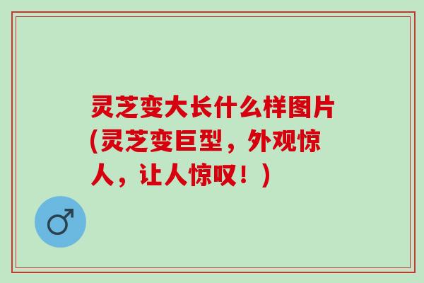 灵芝变大长什么样图片(灵芝变巨型，外观惊人，让人惊叹！)