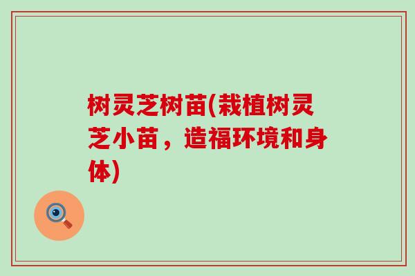 树灵芝树苗(栽植树灵芝小苗,造福环境和身体) 树灵芝树苗(栽植树灵芝小苗,造福环境和身体)