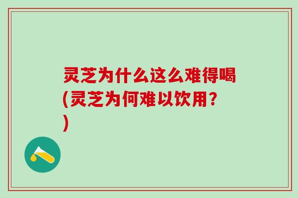 灵芝为什么这么难得喝(灵芝为何难以饮用？)