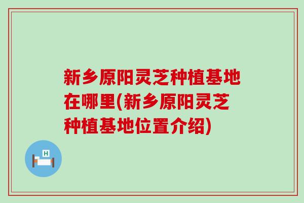 新乡原阳灵芝种植基地在哪里(新乡原阳灵芝种植基地位置介绍)