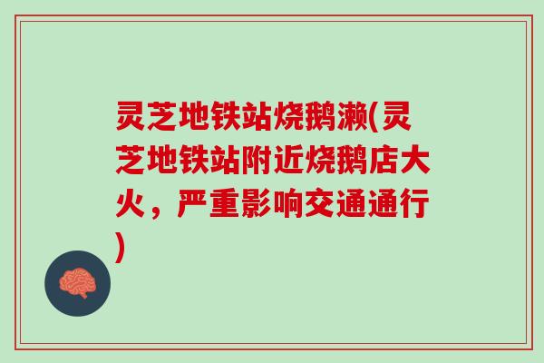 灵芝地铁站烧鹅濑(灵芝地铁站附近烧鹅店大火，严重影响交通通行)