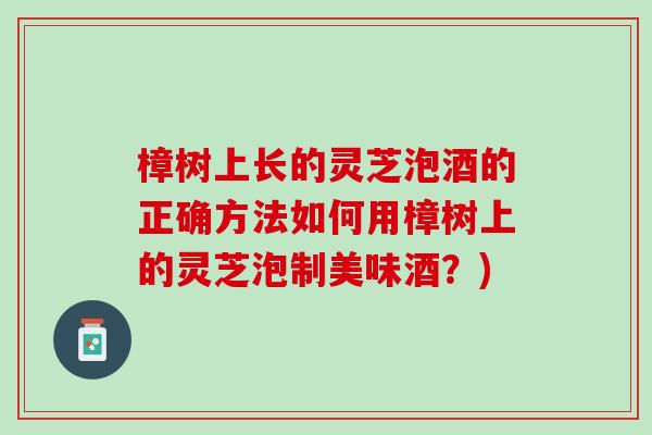 樟树上长的灵芝泡酒的正确方法如何用樟树上的灵芝泡制美味酒?) 樟树上长的灵芝泡酒的正确方法如何用樟树上的灵芝泡制美味酒?)