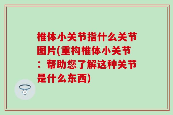 椎体小关节指什么关节图片(重构椎体小关节：帮助您了解这种关节是什么东西)