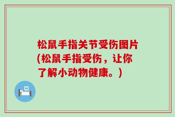 松鼠手指关节受伤图片(松鼠手指受伤，让你了解小动物健康。)