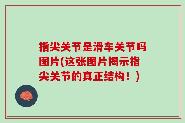 指尖关节是滑车关节吗图片(这张图片揭示指尖关节的真正结构！)