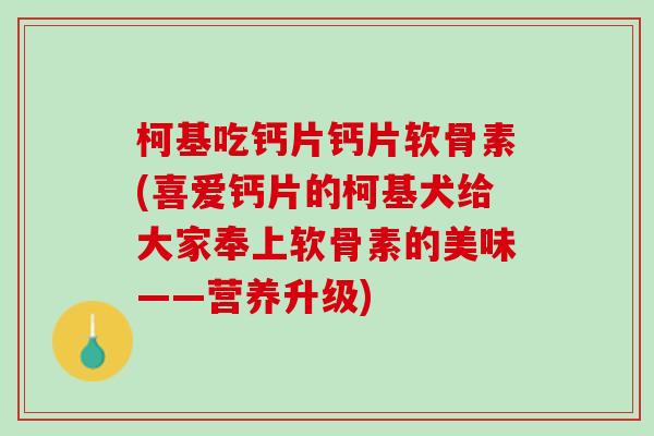 柯基吃钙片钙片软骨素(喜爱钙片的柯基犬给大家奉上软骨素的美味——营养升级)
