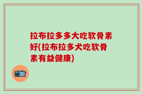 拉布拉多多大吃软骨素好(拉布拉多犬吃软骨素有益健康)