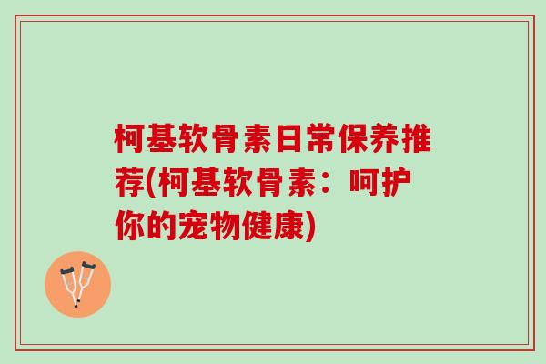 柯基软骨素日常保养推荐(柯基软骨素：呵护你的宠物健康)