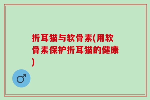 折耳猫与软骨素(用软骨素保护折耳猫的健康)