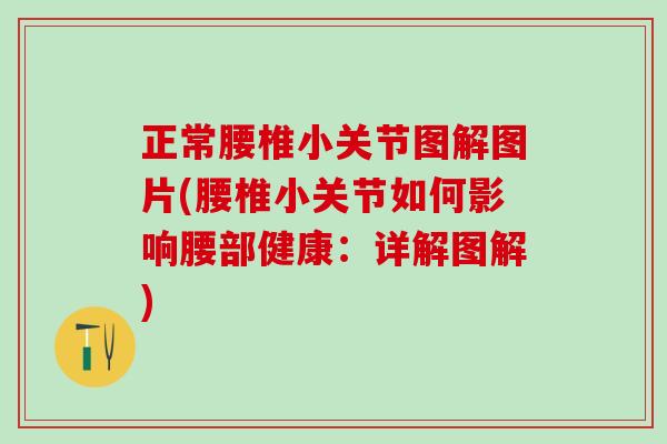 正常腰椎小关节图解图片(腰椎小关节如何影响腰部健康：详解图解)