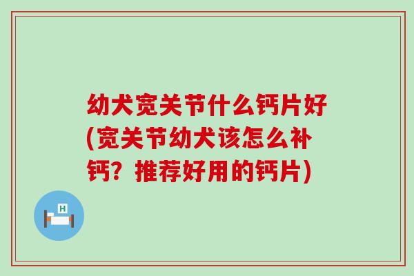 幼犬宽关节什么钙片好(宽关节幼犬该怎么补钙？推荐好用的钙片)