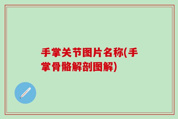 手掌关节图片名称(手掌骨骼解剖图解)