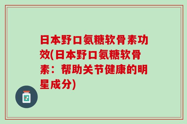 日本野口氨糖软骨素功效(日本野口氨糖软骨素：帮助关节健康的明星成分)