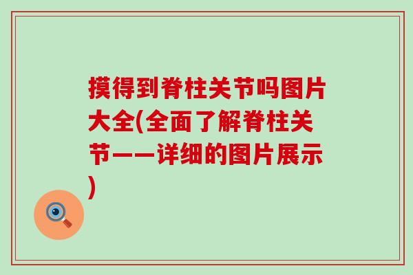 摸得到脊柱关节吗图片大全(全面了解脊柱关节——详细的图片展示)