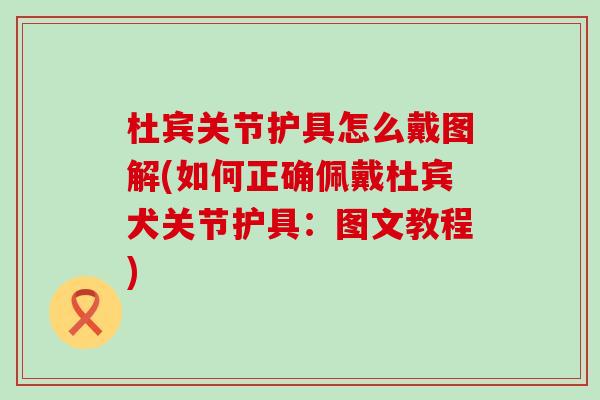 杜宾关节护具怎么戴图解(如何正确佩戴杜宾犬关节护具：图文教程)