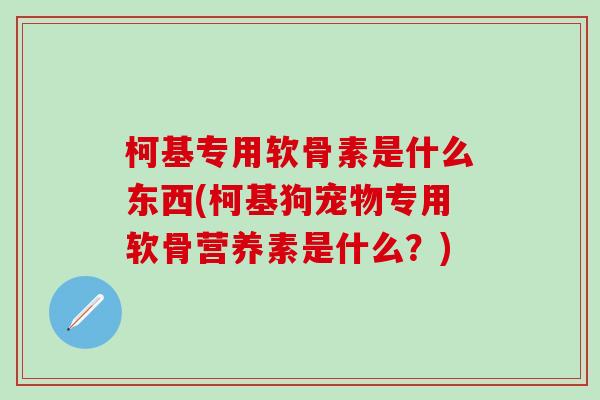 柯基专用软骨素是什么东西(柯基狗宠物专用软骨营养素是什么？)