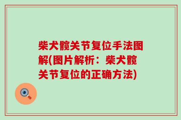 柴犬髋关节复位手法图解(图片解析：柴犬髋关节复位的正确方法)