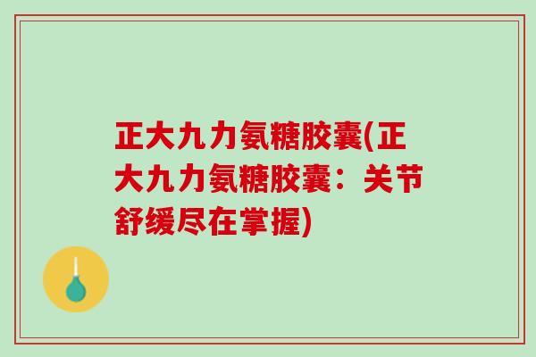 正大九力氨糖胶囊(正大九力氨糖胶囊：关节舒缓尽在掌握)