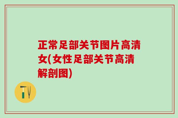正常足部关节图片高清女(女性足部关节高清解剖图)