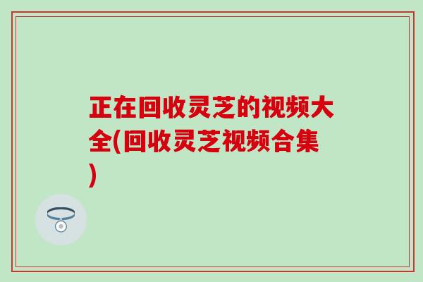 正在回收灵芝的视频大全(回收灵芝视频合集)