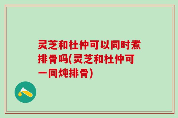 灵芝和杜仲可以同时煮排骨吗(灵芝和杜仲可一同炖排骨)