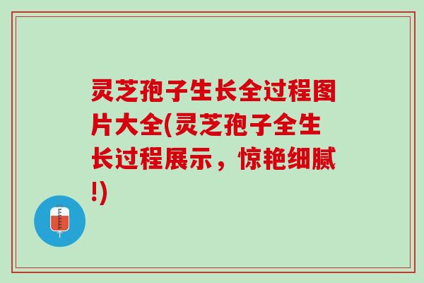 灵芝孢子生长全过程图片大全(灵芝孢子全生长过程展示，惊艳细腻!)