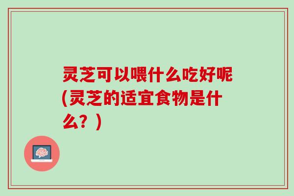 灵芝可以喂什么吃好呢(灵芝的适宜食物是什么？)