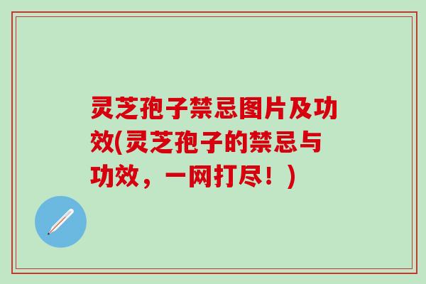 灵芝孢子禁忌图片及功效(灵芝孢子的禁忌与功效，一网打尽！)