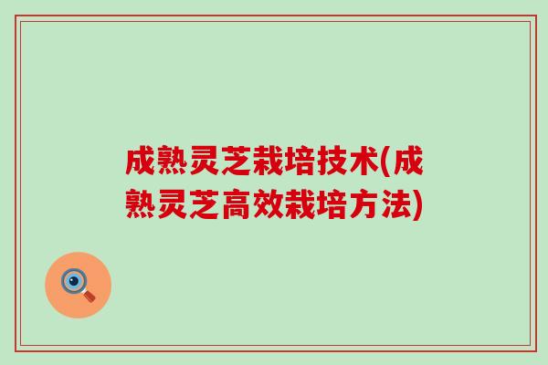成熟灵芝栽培技术(成熟灵芝高效栽培方法)