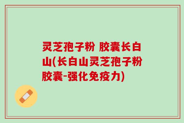 灵芝孢子粉 胶囊长白山(长白山灵芝孢子粉胶囊-强化免疫力)