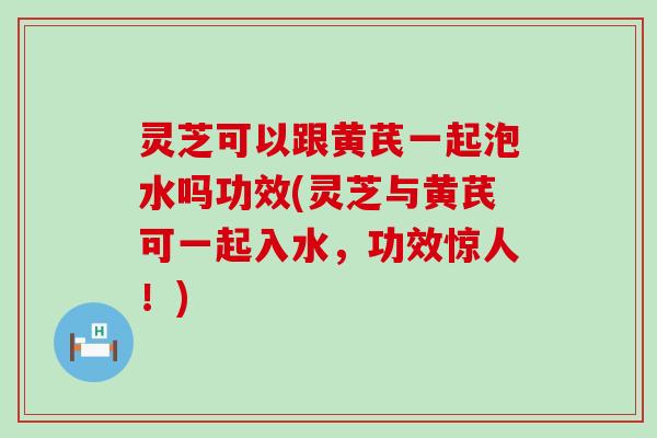 灵芝可以跟黄芪一起泡水吗功效(灵芝与黄芪可一起入水，功效惊人！)