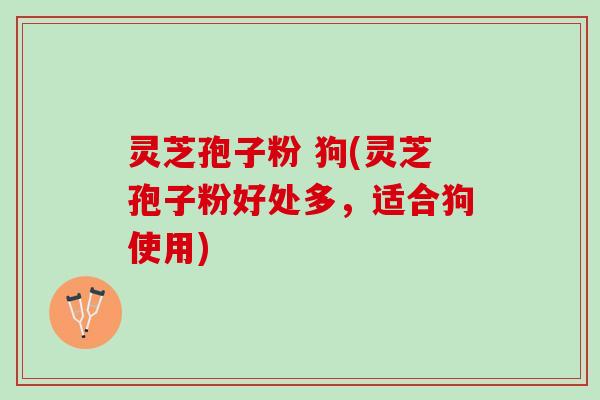 灵芝孢子粉 狗(灵芝孢子粉好处多，适合狗使用)
